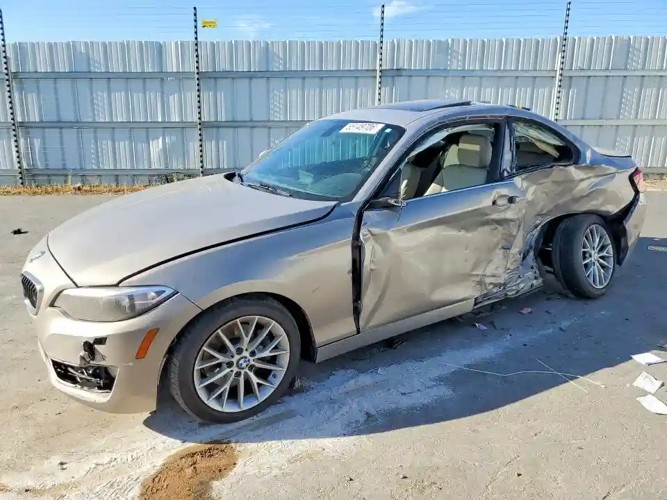 WBA1G9C59GV726624 2016 BMW 2 SERIES-0