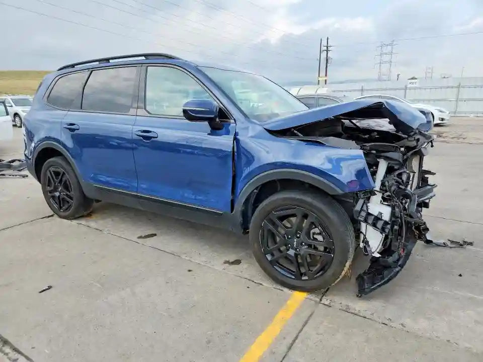 5XYP5DGCXRG428916 2024 KIA TELLURIDE-3