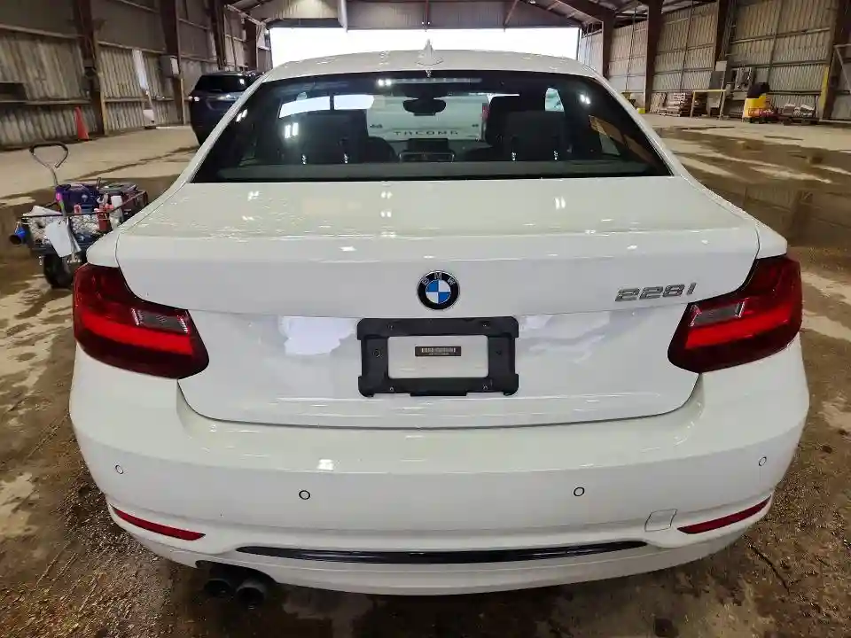 WBA1F9C53GV546364 2016 BMW 2 SERIES-5