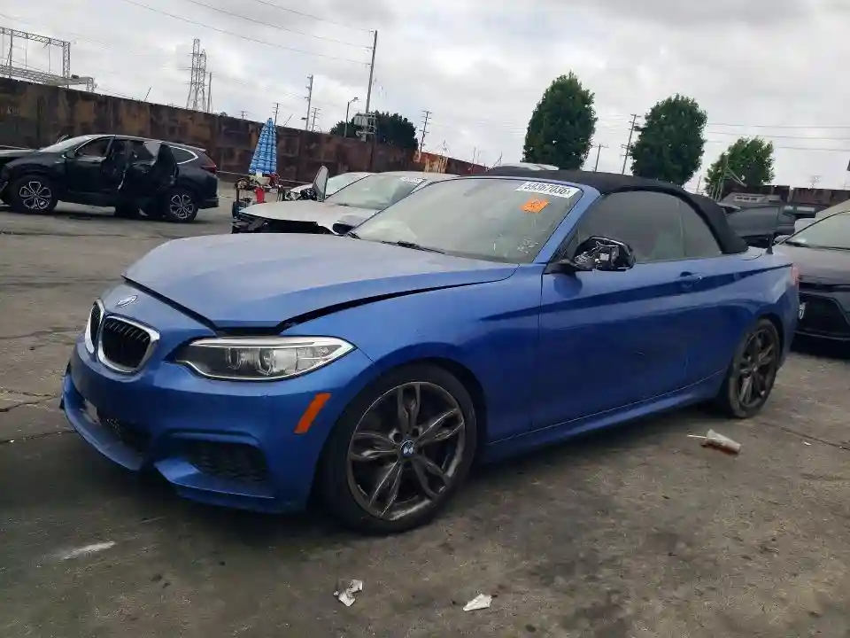 WBA1M1C58FV393521 2015 BMW M2-0