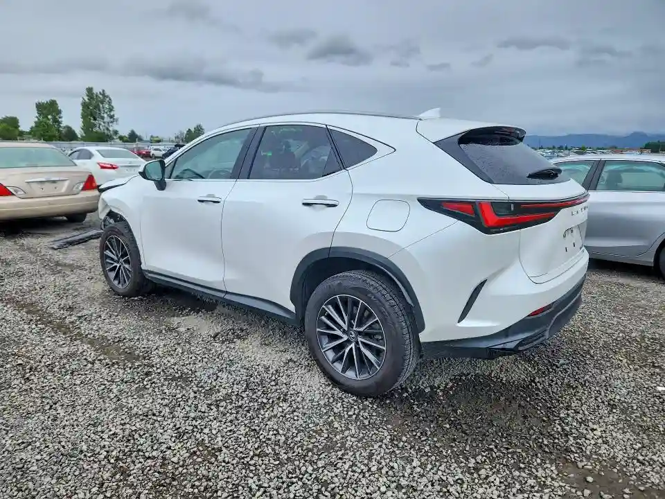 JTJAKCEZ6P5007133 2023 LEXUS NX 350H-1