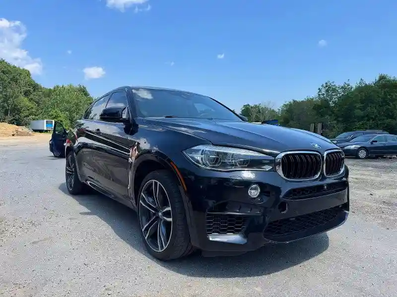 5YMKW8C36H0U72380 2017 BMW X6-0