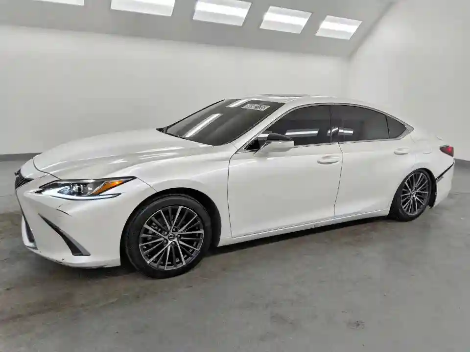 58ADA1C10SU067397 2025 LEXUS ES300-0