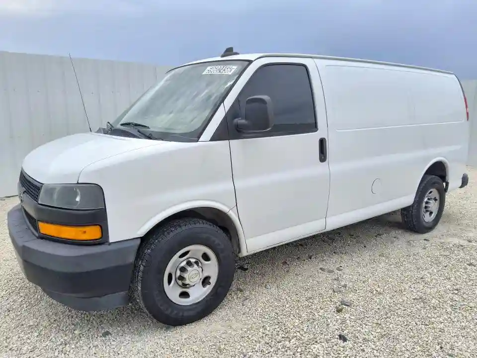 1GCWGAFG2K1366166 2019 CHEVROLET EXPRESS-0