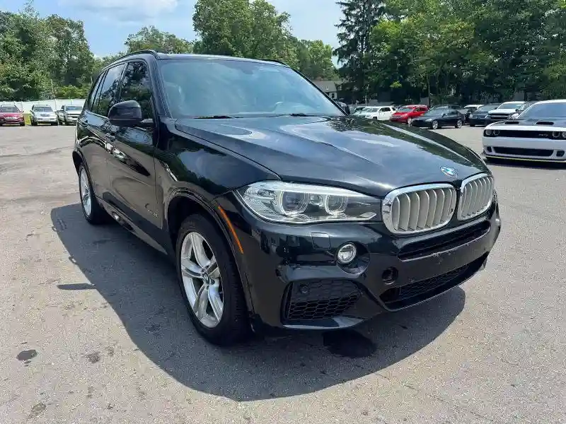 5UXKR6C59F0J74553 2015 BMW X5-3