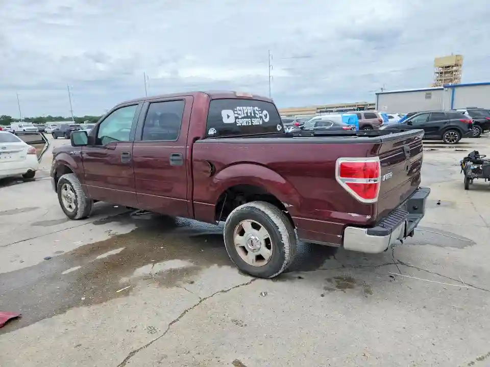 1FTEW1C89AKB59844 2010 FORD F-150-1