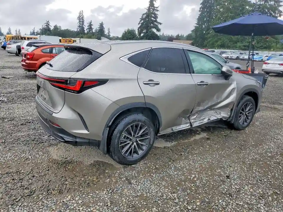 2T2GKCEZ9RC029741 2024 LEXUS NX-2
