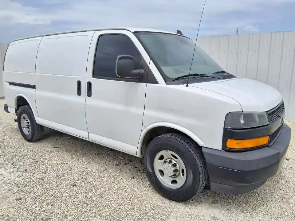 1GCWGAFG2K1366166 2019 CHEVROLET EXPRESS-3