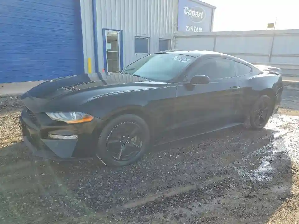 1FA6P8TH6K5152950 2019 FORD MUSTANG-0