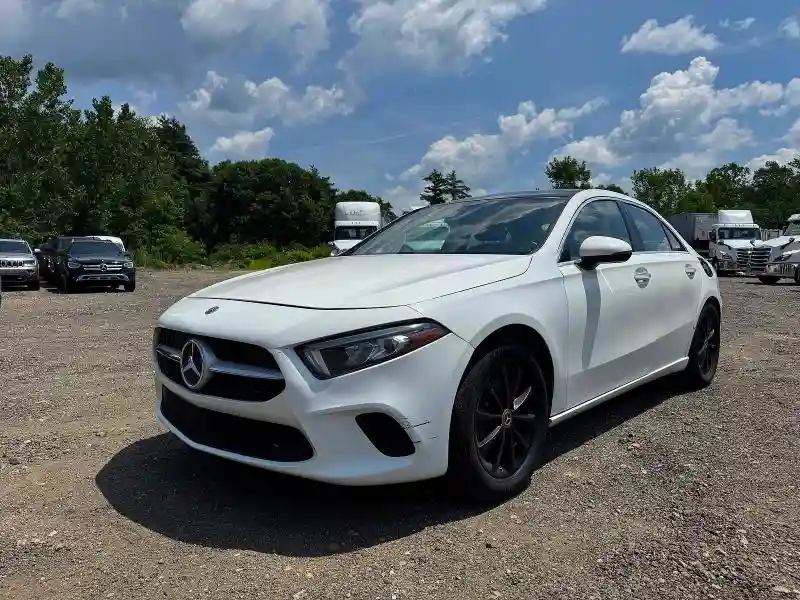 WDD3G4FB7KW010619 2019 MERCEDES-BENZ A-CLASS-1
