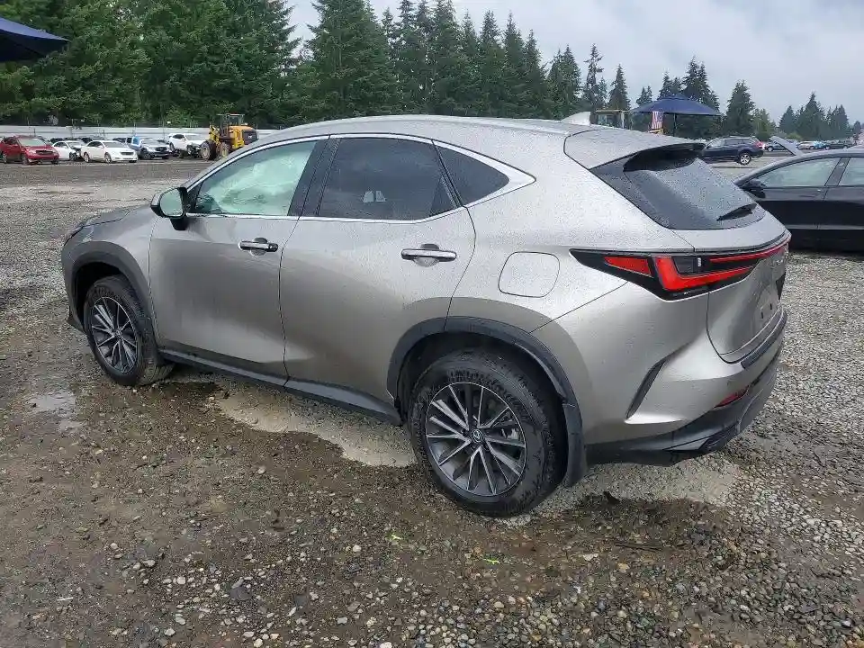 2T2GKCEZ9RC029741 2024 LEXUS NX-1