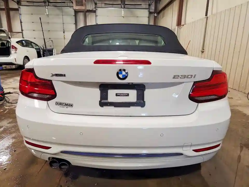 WBA2K1C59KVD41810 2019 BMW 2 SERIES-5