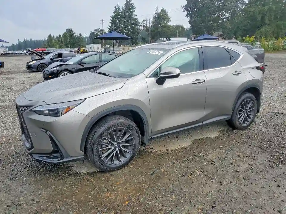 2T2GKCEZ9RC029741 2024 LEXUS NX-0