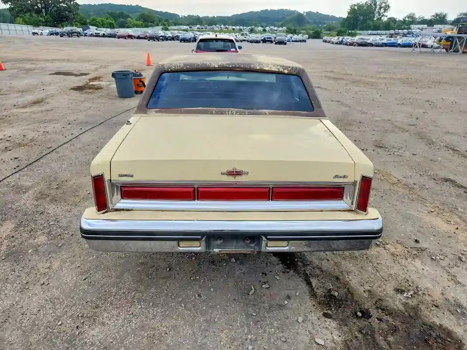 1LNBP94F3BY612359 1981 LINCOLN TOWNCAR-5