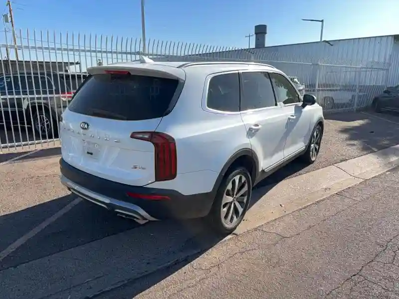 5XYP64HC7LG044935 2020 KIA TELLURIDE-3