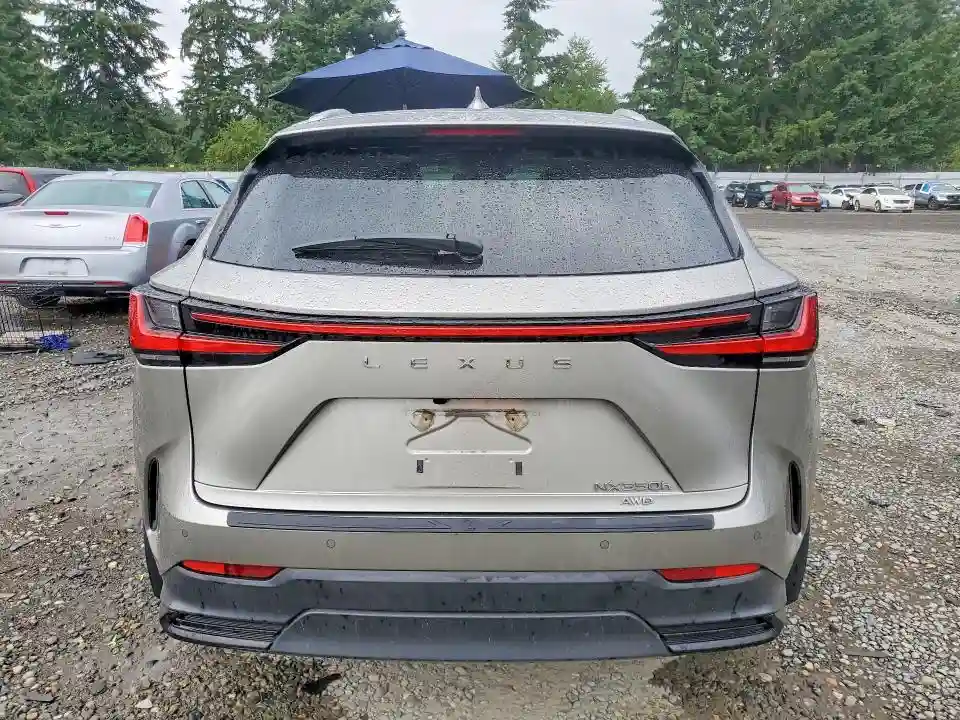 2T2GKCEZ9RC029741 2024 LEXUS NX-5