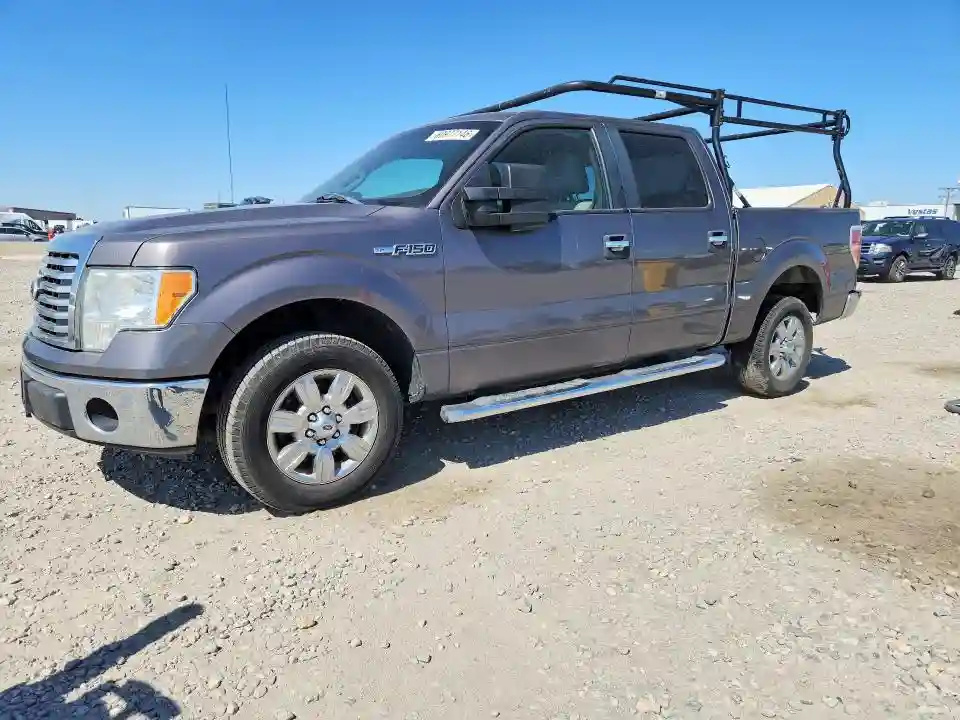 1FTEW1C87AKE63884 2010 FORD F150-0