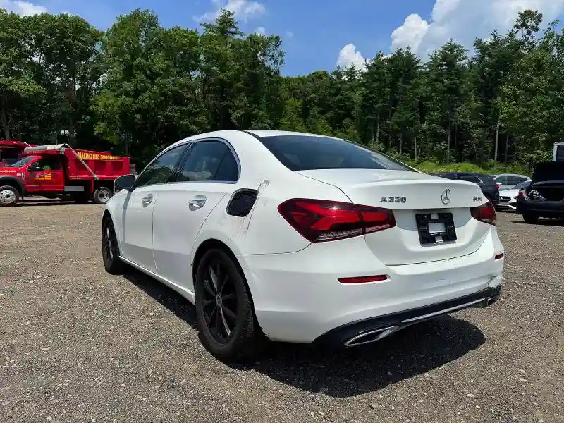 WDD3G4FB7KW010619 2019 MERCEDES-BENZ A-CLASS-2