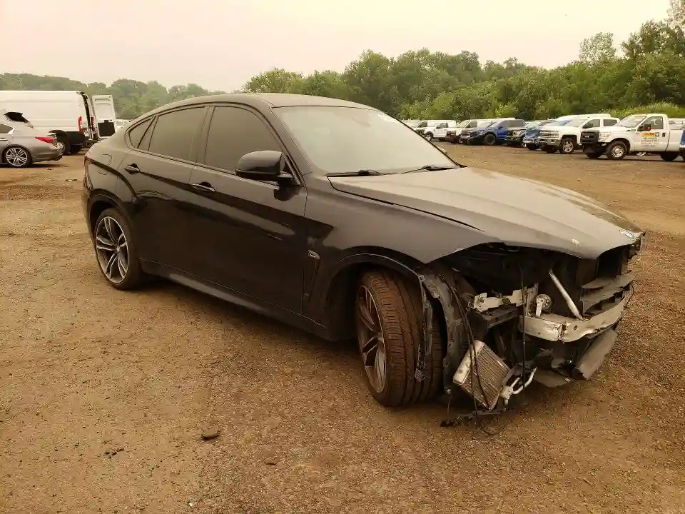5YMKW8C50F0G93684 2015 BMW X6-3