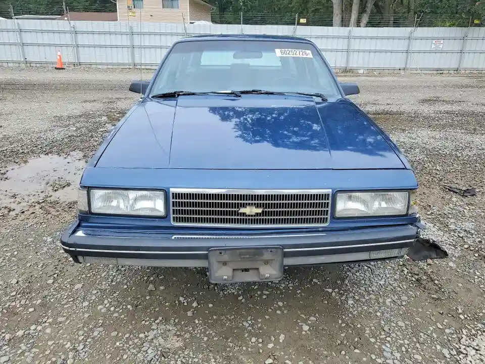 1G1AW81R3K6213936 1989 CHEVROLET CELEBRITY-4