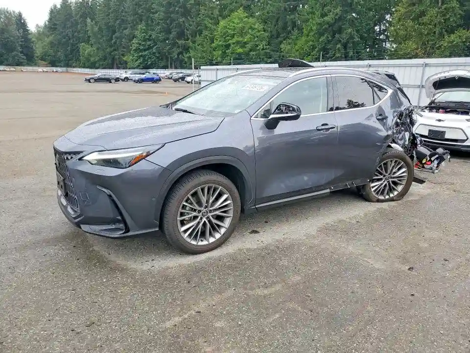 JTJHKCEZ6R2023559 2024 LEXUS NX-0