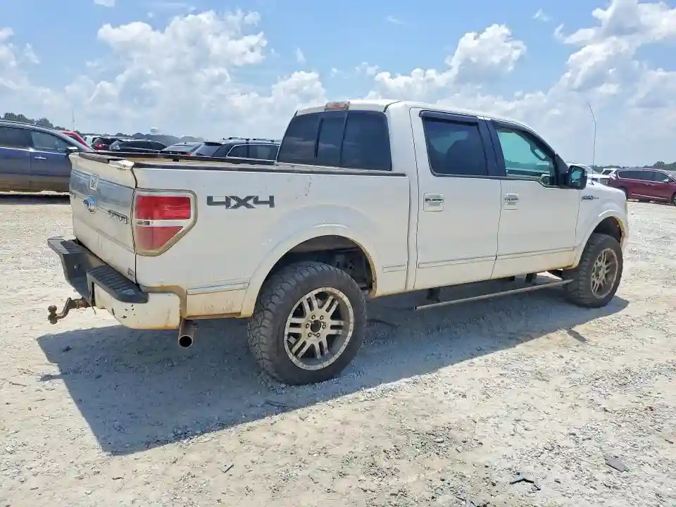 1FTFW1EVXAFD84211 2010 FORD F-150-2