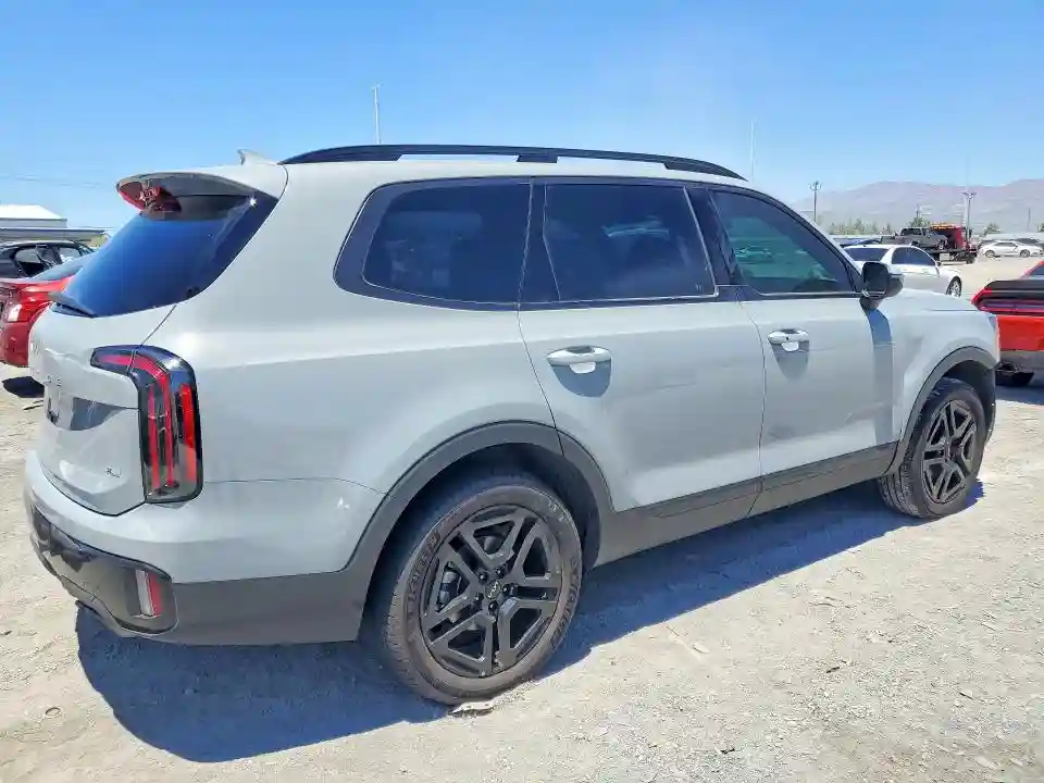 5XYP3DGC6RG491663 2024 KIA TELLURIDE-2