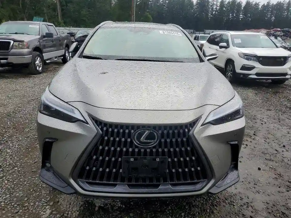 2T2GKCEZ9RC029741 2024 LEXUS NX-4