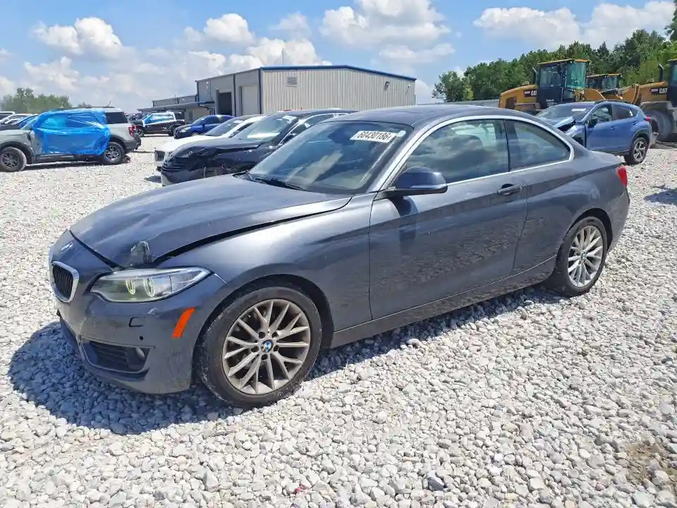 WBA1F7C53FVX95699 2015 BMW 2 SERIES-0