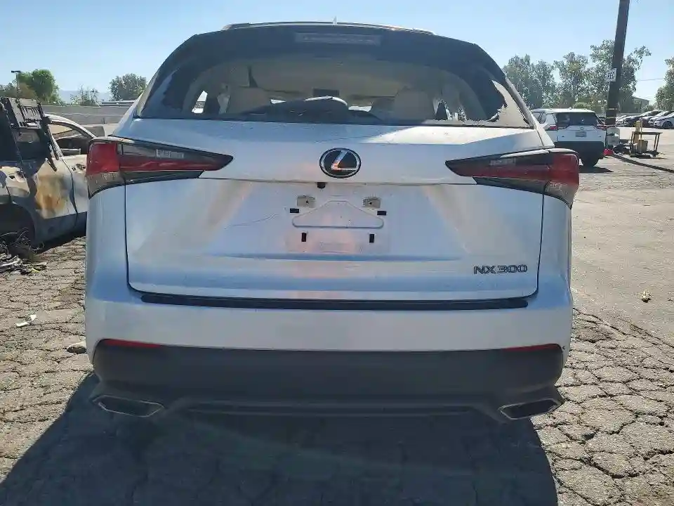 JTJAARBZ6L5010294 2020 LEXUS NX-5