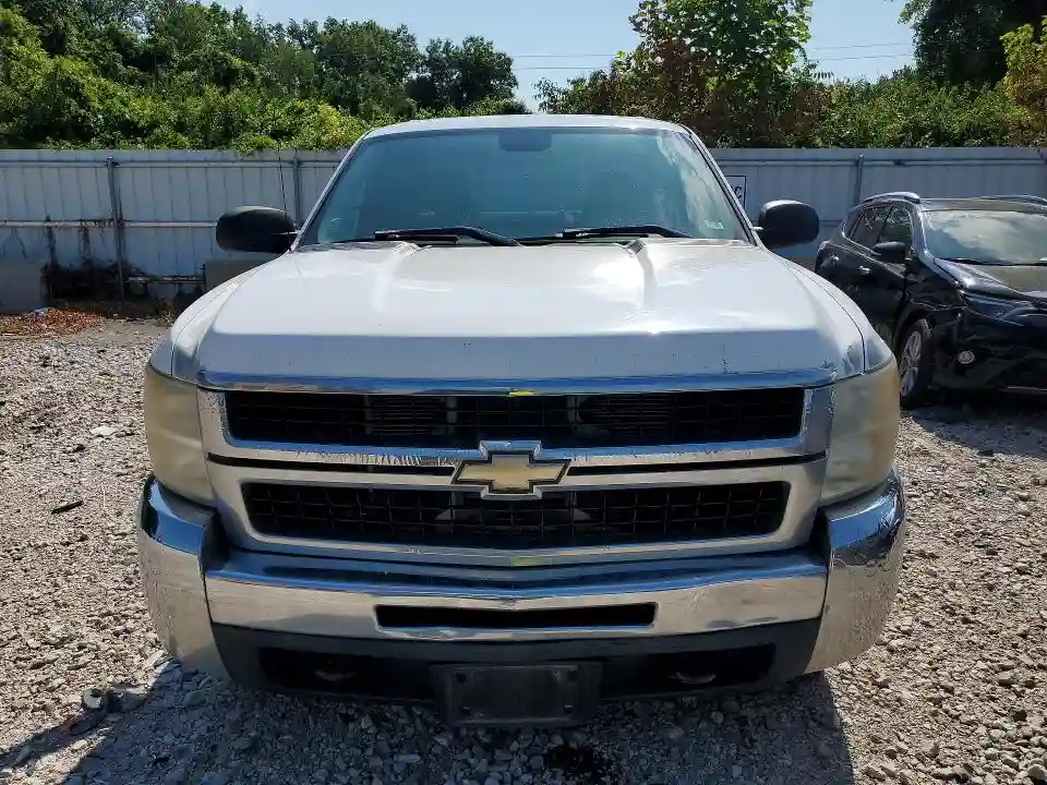 1GC4CVBG4AF140065 2010 CHEVROLET SILVERADO-4