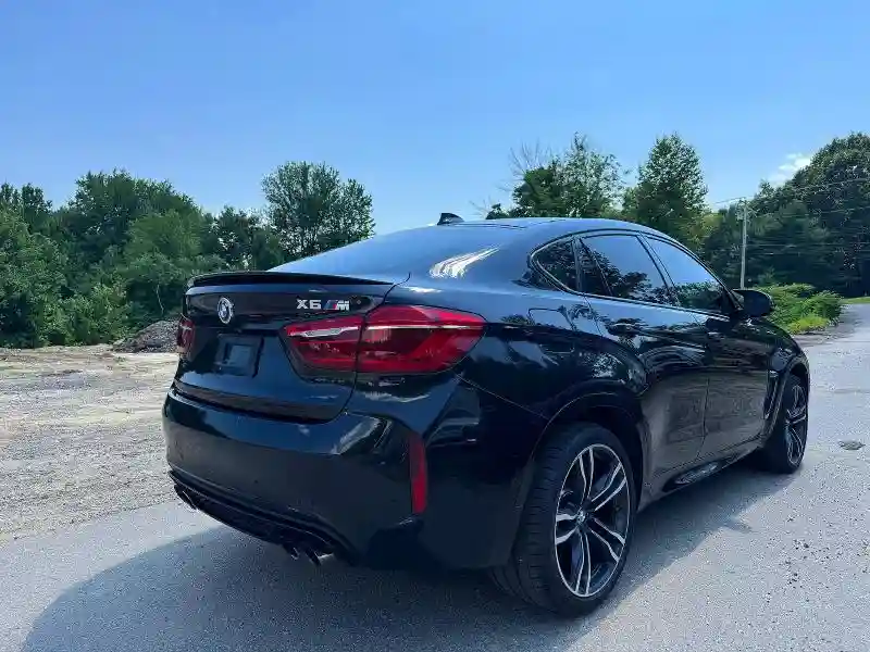 5YMKW8C36H0U72380 2017 BMW X6-3