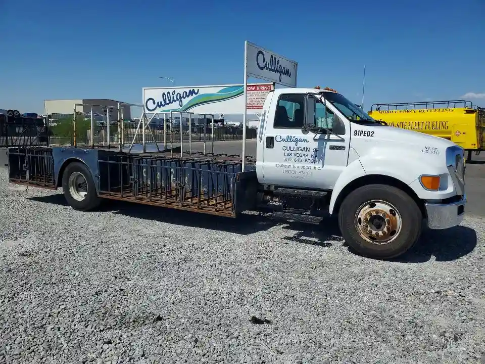 3FRNF6FB7AV253070 2010 FORD F650-3