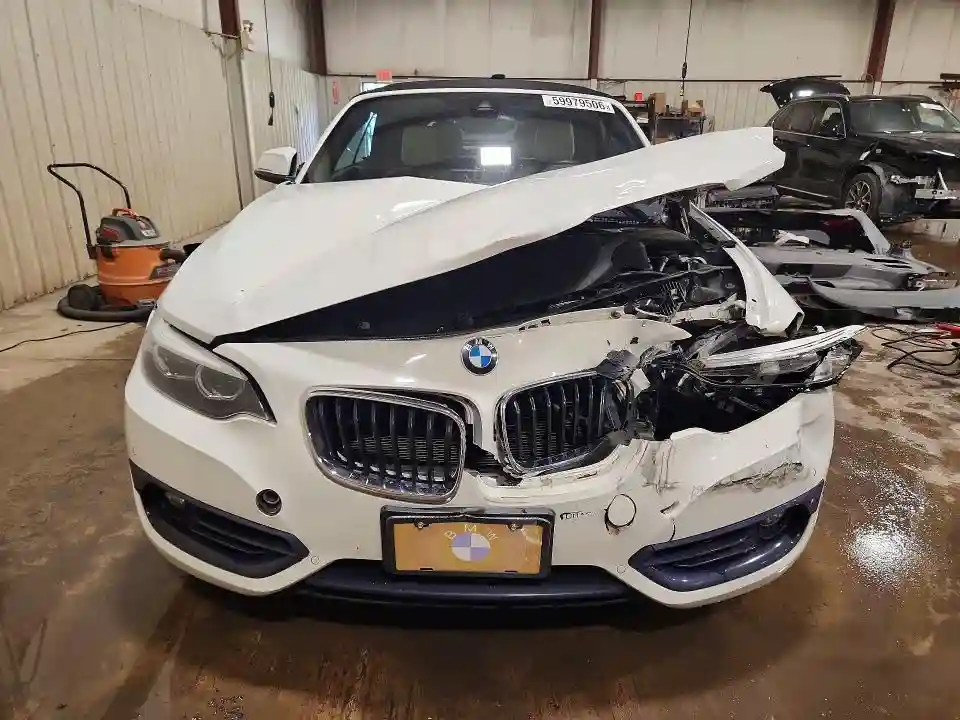 WBA2K1C59KVD41810 2019 BMW 2 SERIES-4