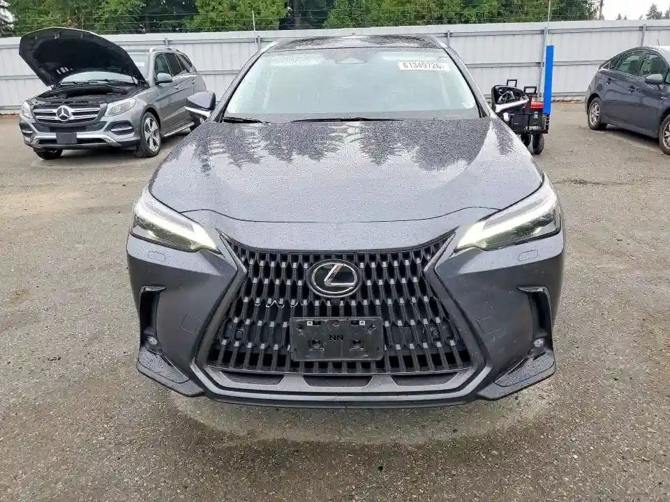 JTJHKCEZ6R2023559 2024 LEXUS NX-4