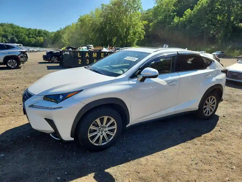 JTJDARDZ4M5023573 2021 LEXUS NX-0