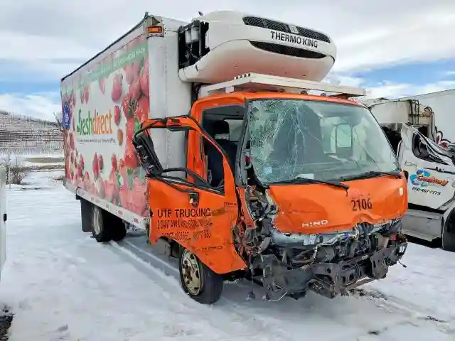 JHHRDM2H5LK009644 2020 HINO ALL MODELS-3