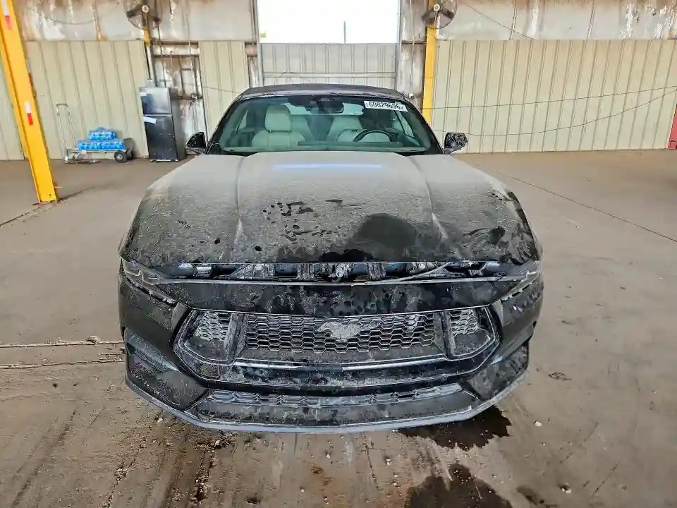 1FAGP8UH6R5120075 2024 FORD MUSTANG-4