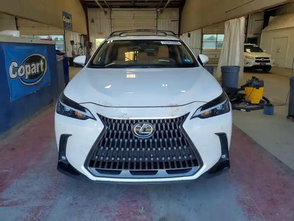 JTJGGCEZ6R2011148 2024 LEXUS NX-4