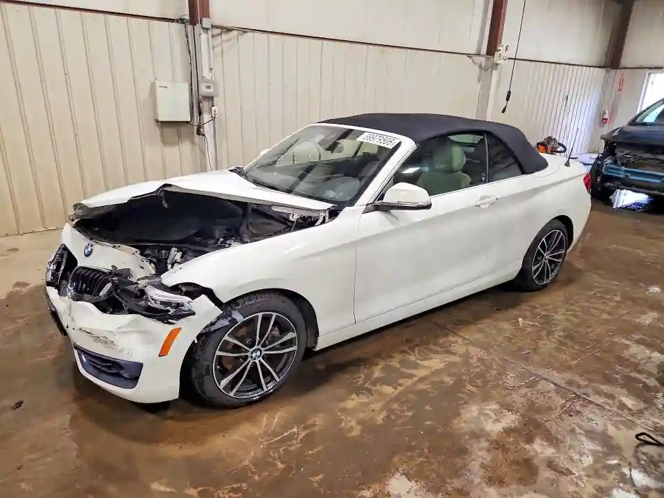 WBA2K1C59KVD41810 2019 BMW 2 SERIES-0