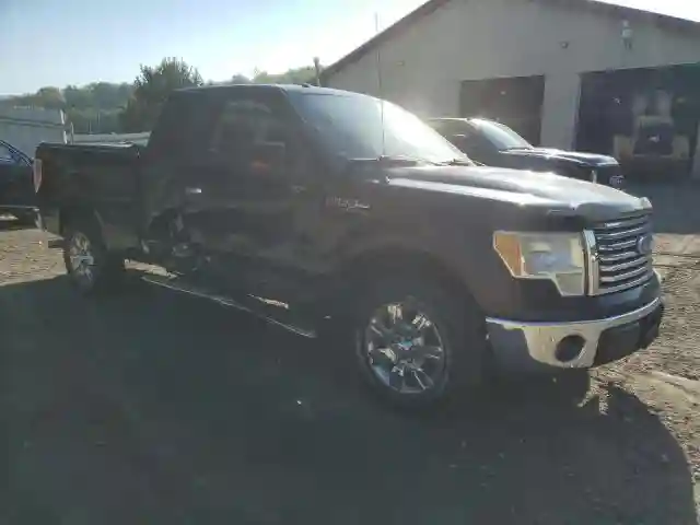 1FTEX1C88AKE48727 2010 FORD F-150-3