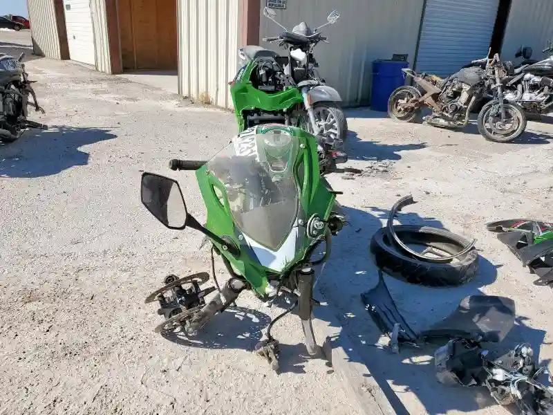 H0DPBFG96NX040550 2022 OTHER 250 CC-1