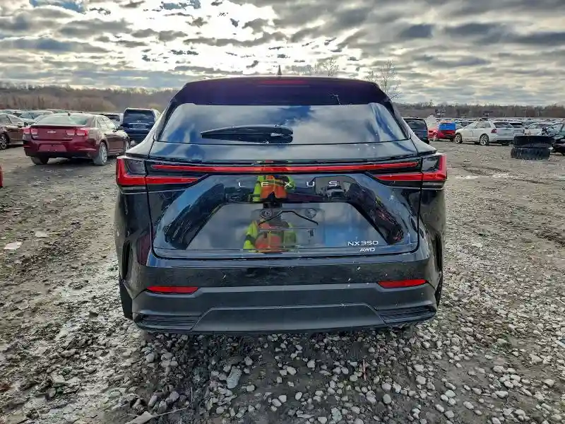 2T2GGCEZXRC036988 2024 LEXUS NX 350 PRE-5