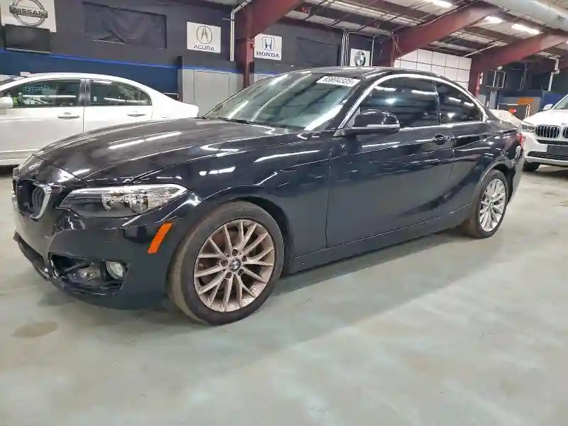 WBA1G9C51GV599786 2016 BMW 2 SERIES-0