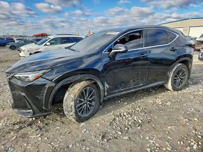 2T2GGCEZXRC036988 2024 LEXUS NX 350 PRE-0