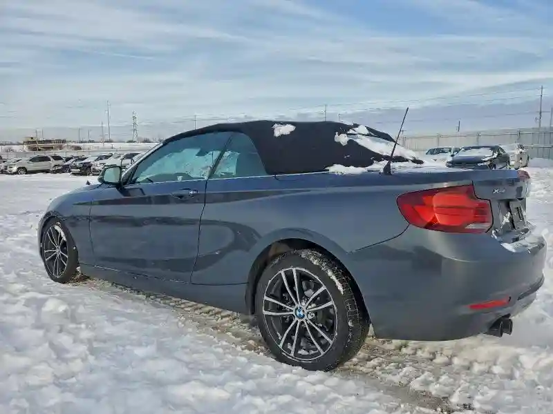 WBA2K1C01L7G10800 2020 BMW 2 SERIES-1