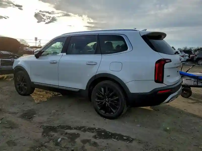 5XYP5DHC7LG022355 2020 KIA TELLURIDE-1