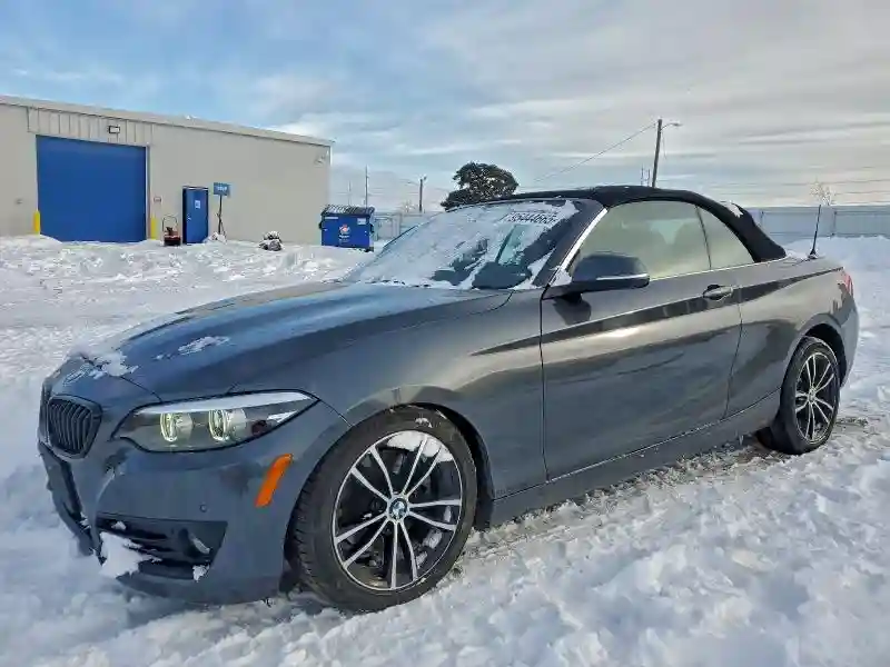 WBA2K1C01L7G10800 2020 BMW 2 SERIES-0