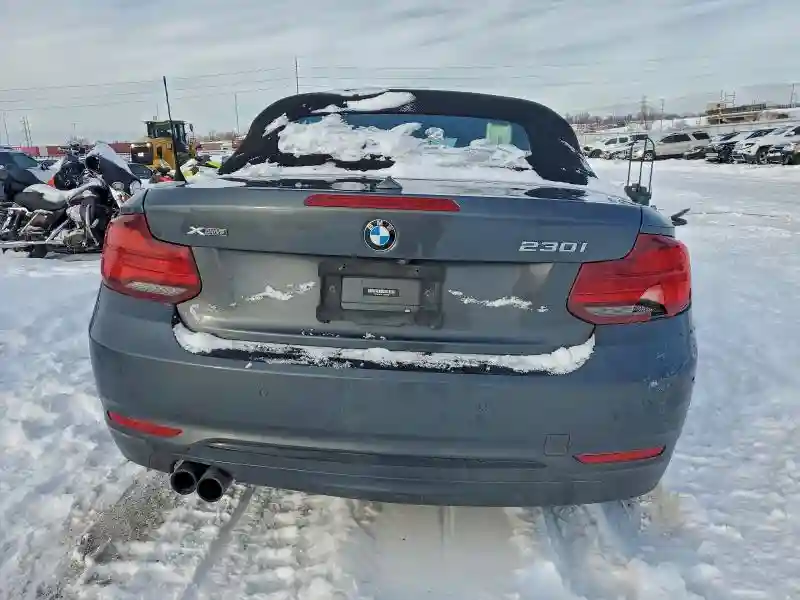 WBA2K1C01L7G10800 2020 BMW 2 SERIES-5