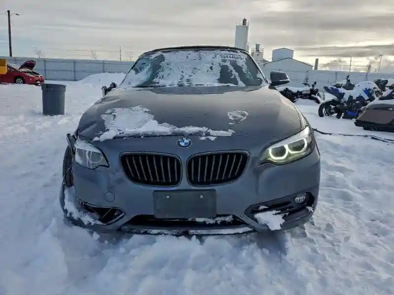 WBA2K1C01L7G10800 2020 BMW 2 SERIES-4